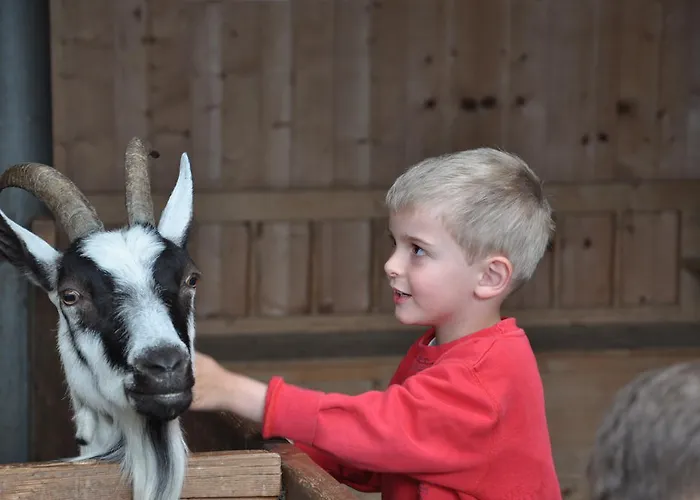 Отель Kleon Вент