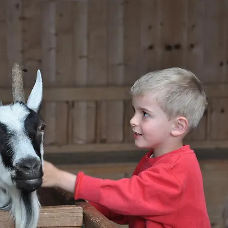 Szálloda Kleon Vent